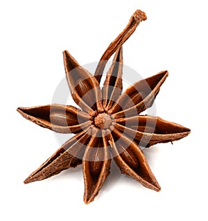 Seed of anise