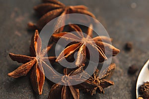 Anise stars on dark background