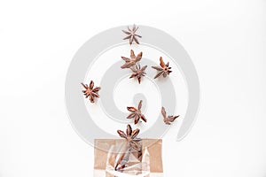 Anise tree seeds on white background