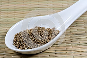Aniseed