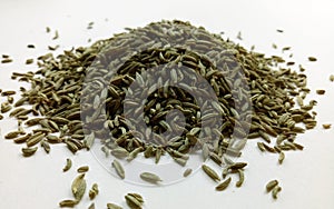 Aniseed