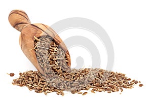 Aniseed Spice