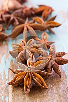 Aniseed star