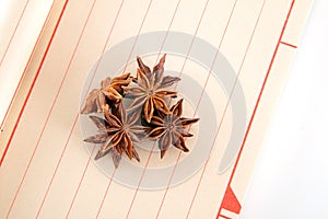 Aniseed star anise on the notebook
