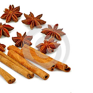 Anisetree and cinnamon sticks