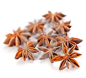 Anisetree on a white background