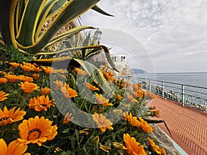 Anita Garibaldi walk in Nervi