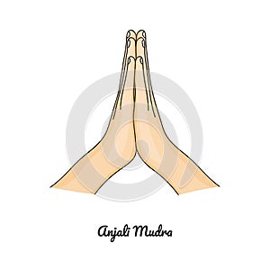 Anjali Mudra / Gesture of Reverence. Vector photo