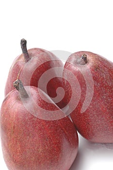 Anjou pears group photo