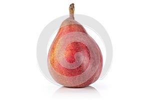 Anjou red pear isolated on white photo