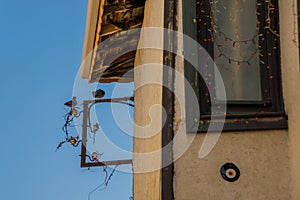 ANKARA, TURKEY: Pigeons sitting on the frame, traditional Turkish houses. Street in the city center