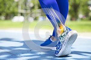 Ankle pain in detail - Sports injuries concept