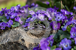 anklets resting on a rock amid a bed of violets