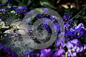 anklets resting on a rock amid a bed of violets