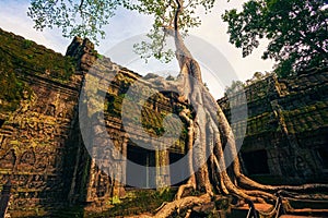 Ankor the lost city