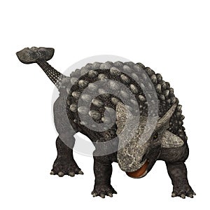 Ankylosaurus 01 photo