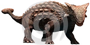 Ankylosaurus