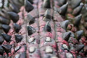 Ankylosaurus dinosaur statue