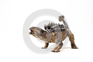 Ankylosaurus Dinosaur on white background