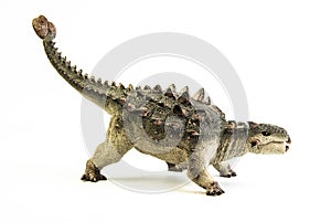 Ankylosaurus   ,dinosaur on white background