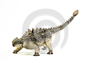 Ankylosaurus   ,dinosaur on white background photo