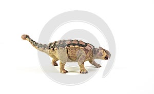 Ankylosaurus , dinosaur on white background