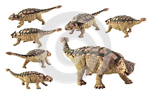 Ankylosaurus , dinosaur on white background