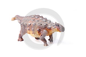 Ankylosaurus is a herbivore genus of armored dinosaur