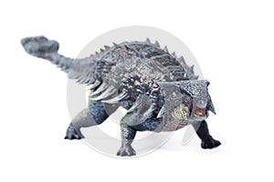 Ankylosaurus is a herbivore genus of armored dinosaur