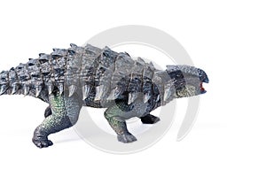 Ankylosaurus is a herbivore genus of armored dinosaur