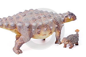 Ankylosaurus is a herbivore genus of armored dinosaur with baby dinosaur