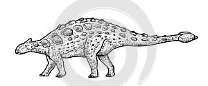 Ankylosaurus illustration, drawing, engraving, ink, line art, vector photo