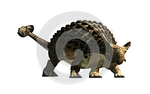 Ankylosaurus With No Background