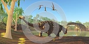 Ankylosaurus photo