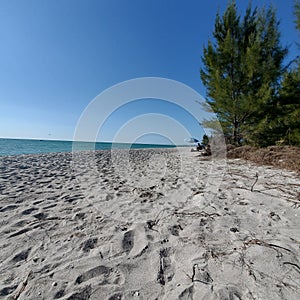 Anna Maria Island Beach Bradenton Florida