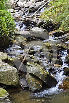 Anna Ruby Falls creek bed photo