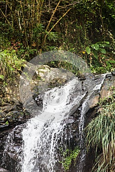 Annandale Waterfall in Grenada