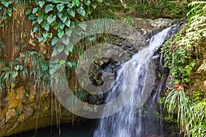Annandale waterfall in Willis, Grenada, Caribbean. photo