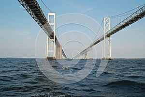 Annapolis Bay Bridge photo