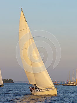 Annapolis Harbour Sailing