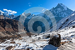 Annapurna base camp view of Machapuchre mountain