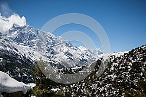 On the Annapurna circuit trekking trail between Upper Pisang village and Ngawal village in the Himalayas in Nepal photo