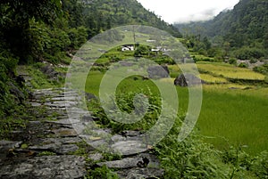 Annapurna Sanctuary Trail