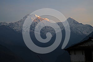 Annapurna South and Hiunchuli at Sunset A