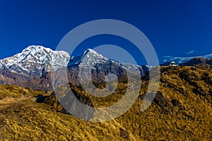 Annapurna South summit