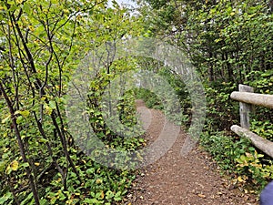 Anne of Green Gabels Haunted Trail