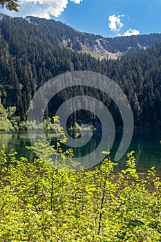 Annette Lake framed by trees and mountains near North Bend, Washington, USA