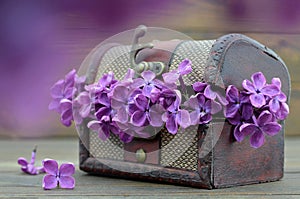 Anniversary card with lilac flowers in vintage chest