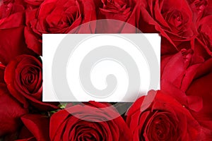 Anniversary or Valentine Blank Message Card Surrou