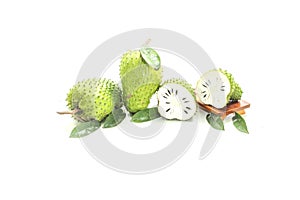 Annona muricata Fruit Green fresh White background